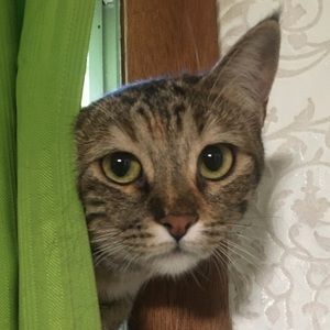 Meet your Posher, Max